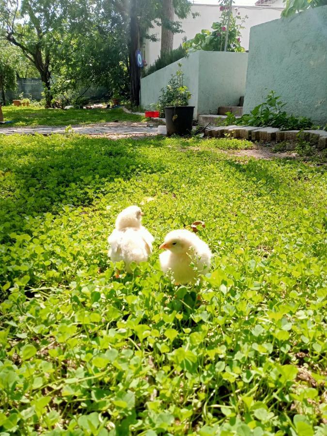 Salda Goelue Koca Kapi Konaklama Yesilova  Bagian luar foto