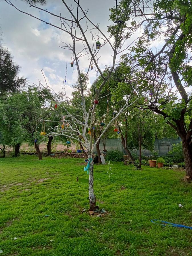 Salda Goelue Koca Kapi Konaklama Yesilova  Bagian luar foto